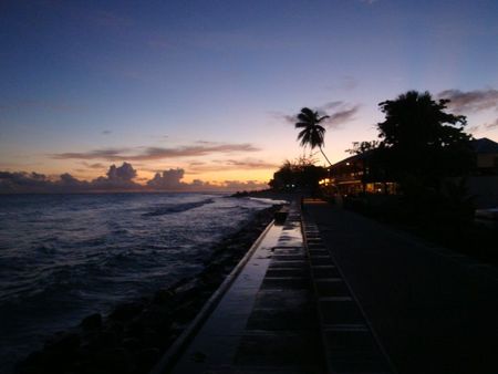 DSC07566