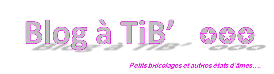 Blog' à TiB