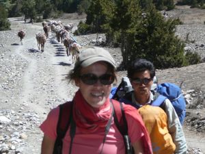 Trek Annapurna FZ1 - 0187
