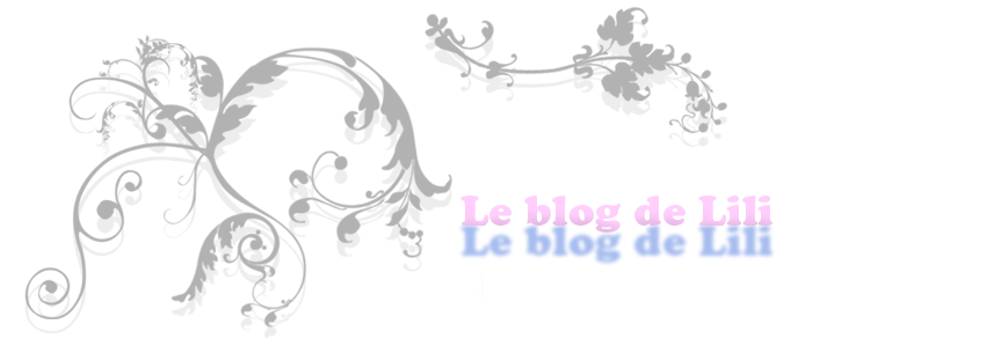 Le blog de lili :)