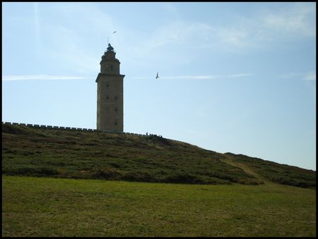 DSC02533