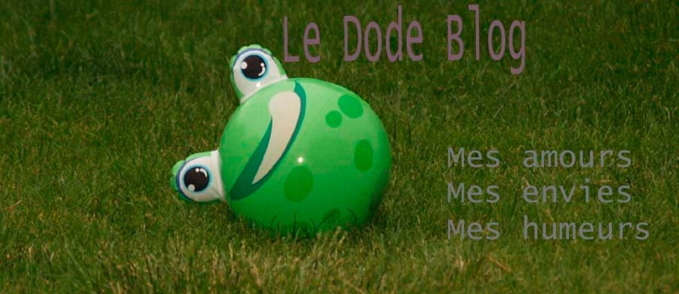 Le Dodeblog book