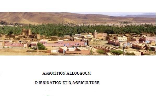 association allougoum d'irrigation et d'agricultureجمعية الوكوم للسقي والفلاحة