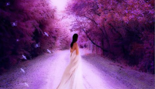 O PARAISO QUE EU QUERO ... joao das Flores