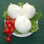 mozzarella1
