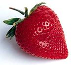 frutilla