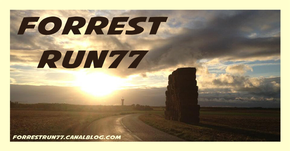 Forrest run77