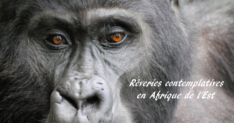 Rêveries contemplatives en Afrique de l'Est