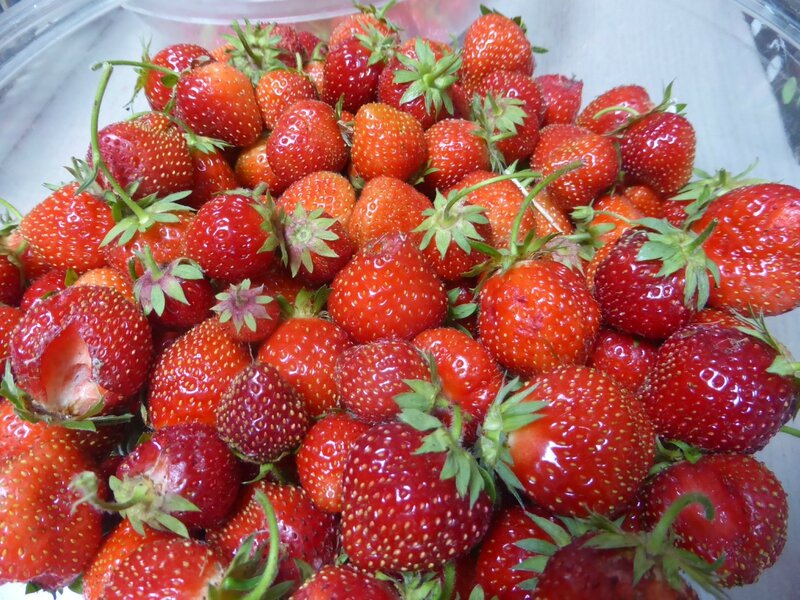 9-fraises (3)