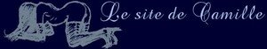 titre_blog