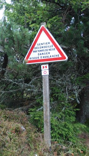 30673158_m.jpg