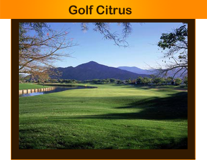 golfcitrus