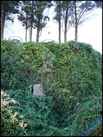 DSC02486