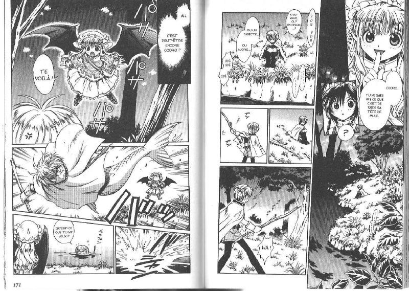 + Anima Tome 01