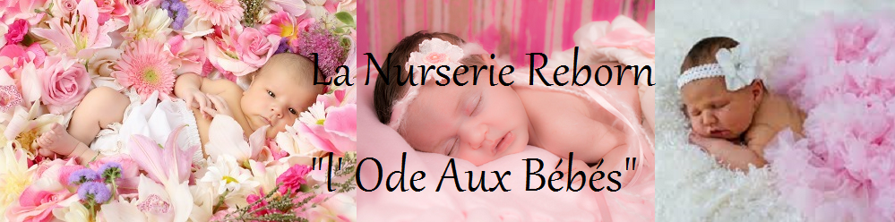 La nurserie reborn "l'Ode aux Bébés"