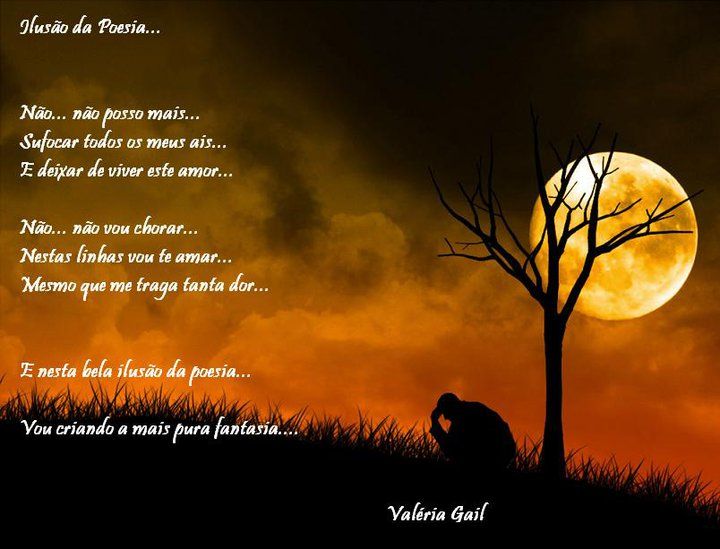 ILUSAO DA POESIA Valeria Gail