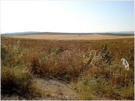 DSC01866