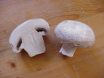 champignon_de_Paris