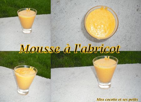 mousse_a_l_abricot