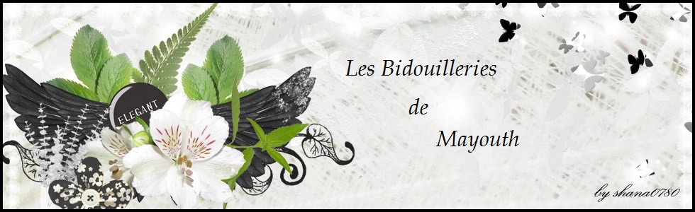 les bidouilleries de Mayouth