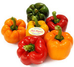 pimiento