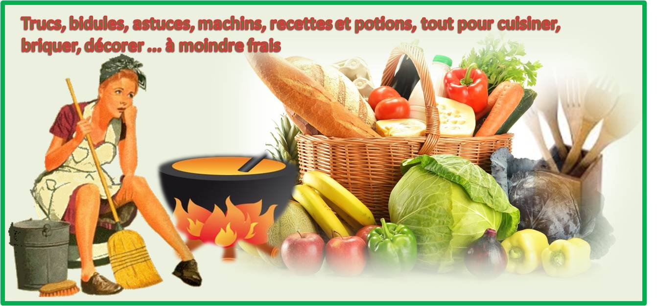 Trucs, bidules, astuces, machins, potions, tout pour cuisiner, briquer, décorer ... à moindre frais