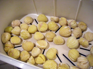DSCN1043