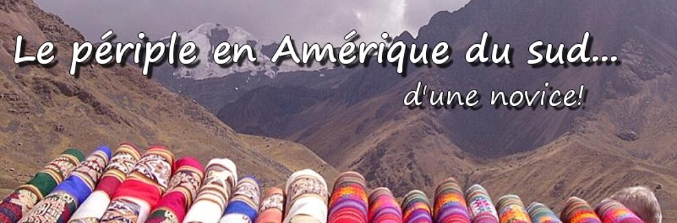 Organisation de mon voyage au Pérou...