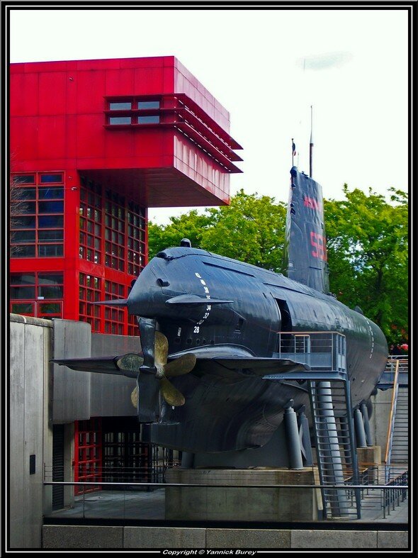 IMGP0833