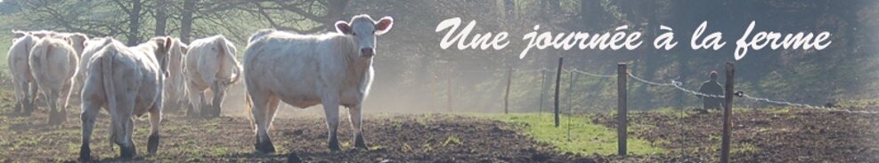 Une journée à la ferme