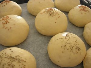 burger_buns_pas_cuits