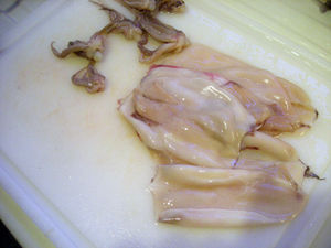 DSCN8102