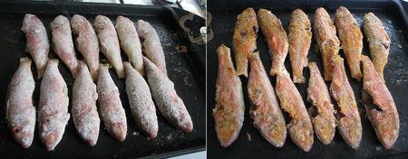 plancha