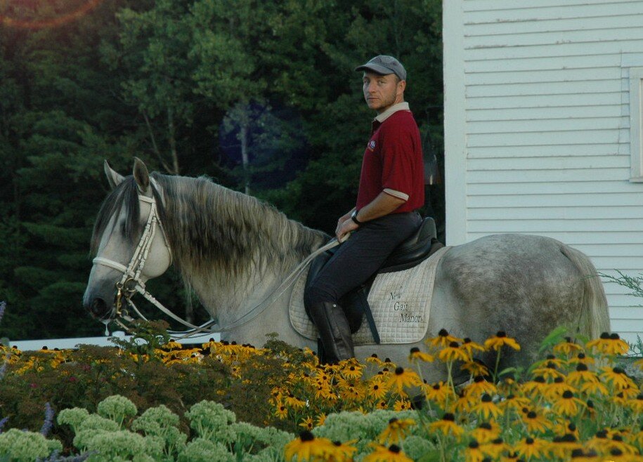 INTENTION DRESSAGE