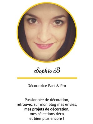 Sophie B présentation