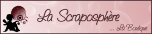 SCRAPO_900