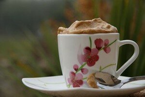 mousse