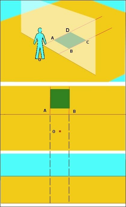 3D6