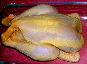 Poulet_jaune