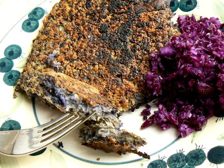 Galettes_lentilles_chou_rouge