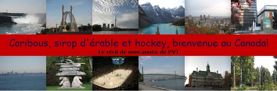 Caribous, sirop d'érable et hockey, bienvenue au Canada!