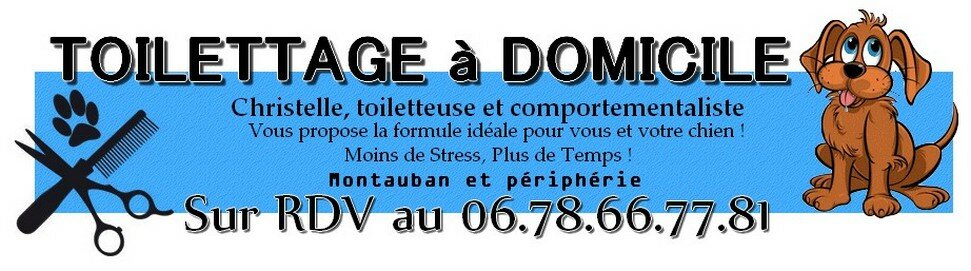 Toilettage à Domicile (82)