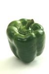 poivron_vert