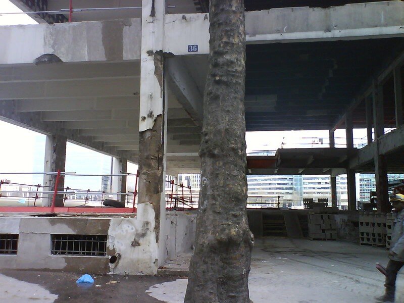 http://storage.canalblog.com/80/72/41361/10541546.jpg
