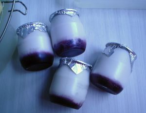 yaourt et fromage "maison" 25689657_p
