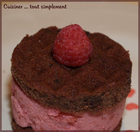 mousse_framboises_2