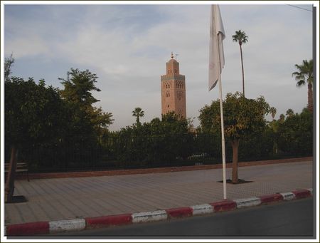 marrakech__459_