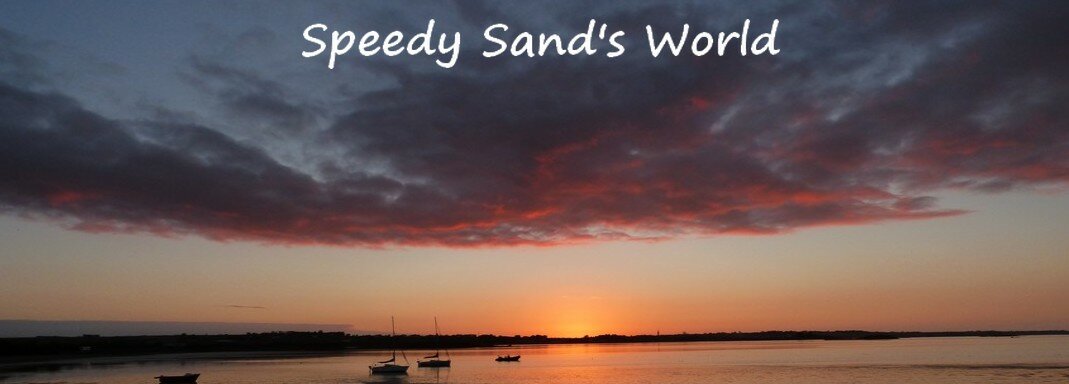 Speedy Sand's World