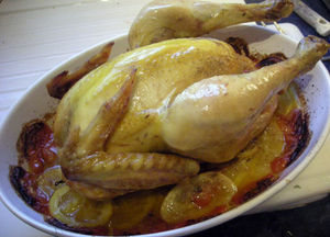 DSCN1703