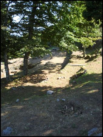 DSC02201
